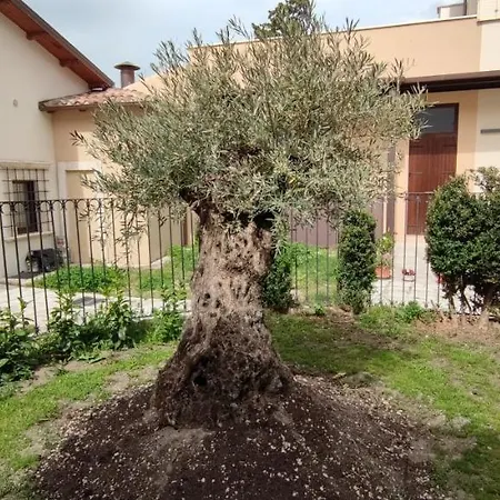 San Marciano Luxury L'Aquila